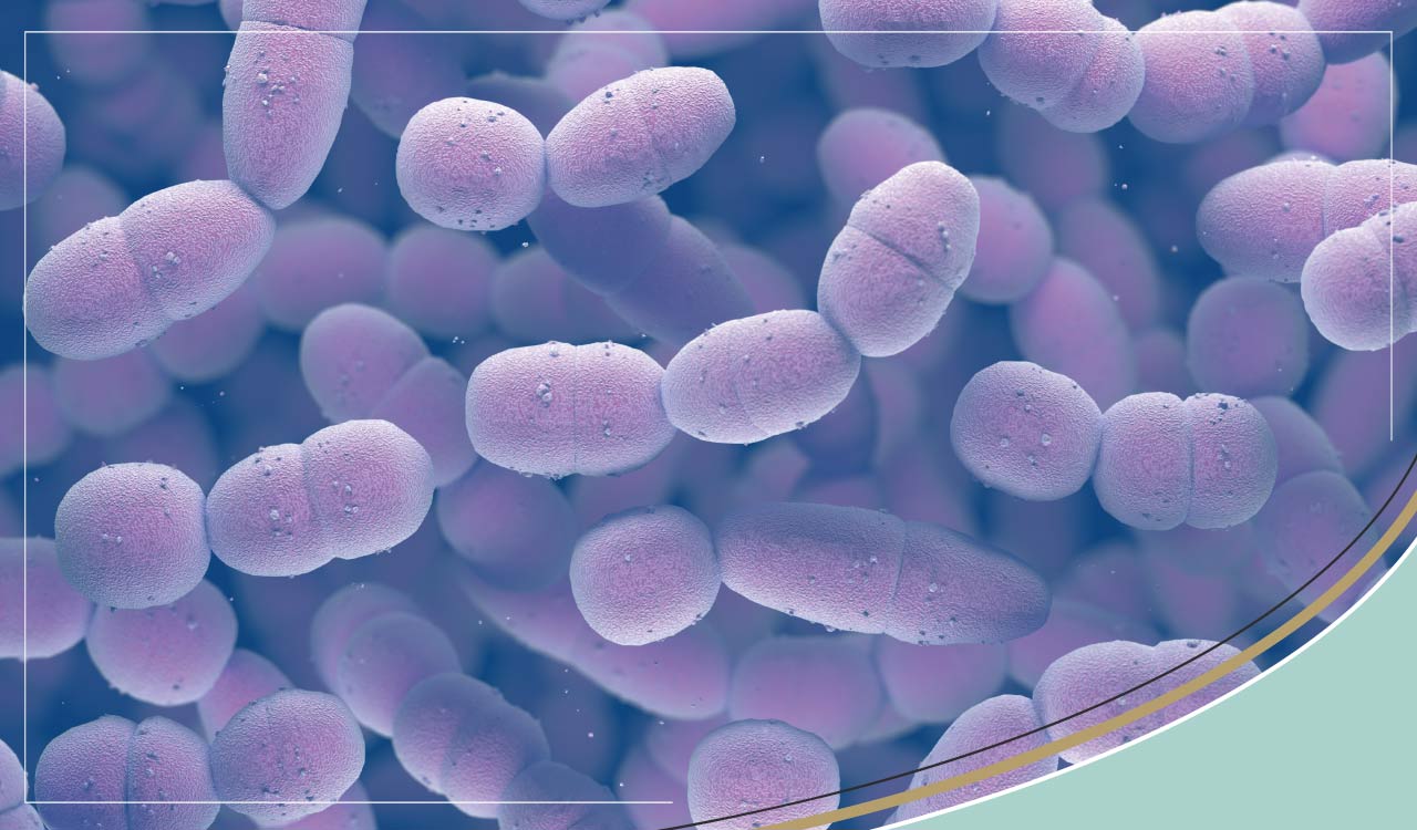 What is Streptococcus?